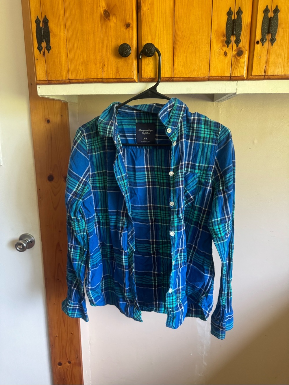 American Eagle Outfitters Blue and Green Plaid Shirt